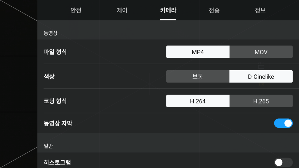 DJI 드론 동영상 파일 형식 설정